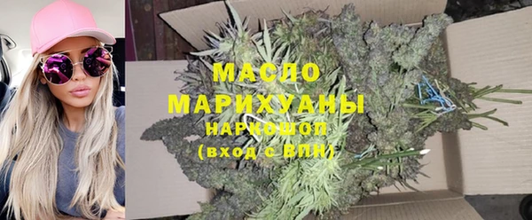 гидра Бронницы